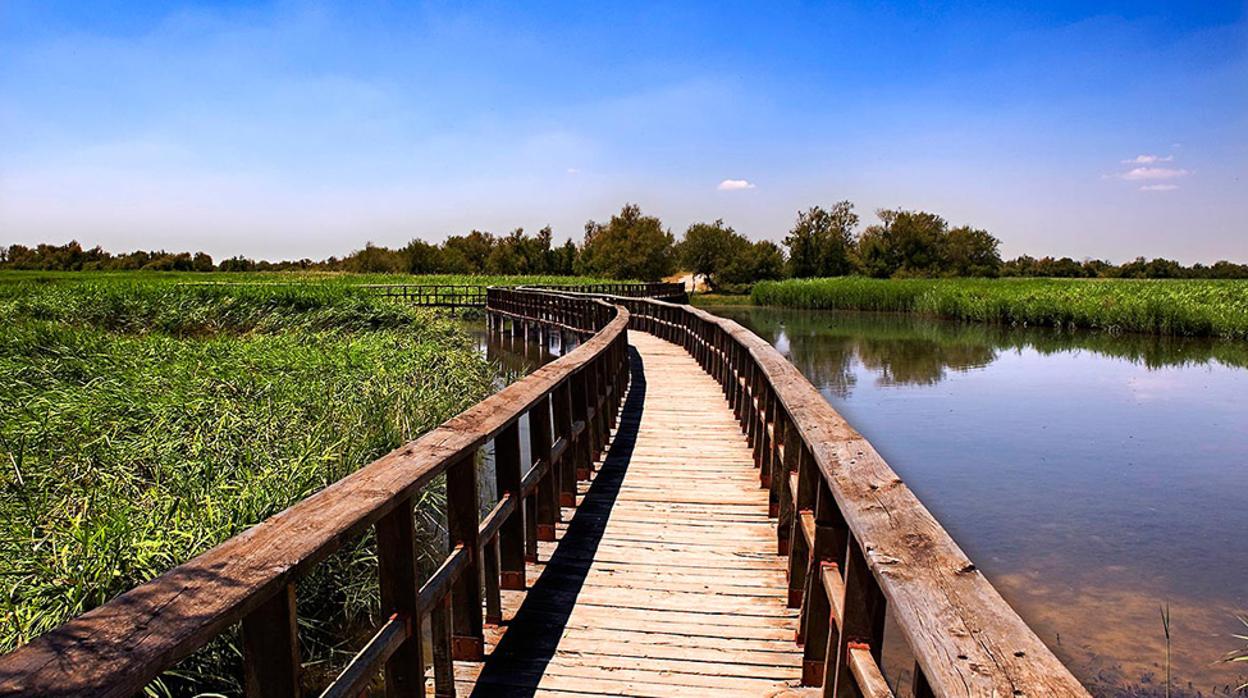 El trasvase hasta Las Tablas de Daimiel se haría aprovechando la conducción de la tubería de abastecimiento a la Llanura manchega