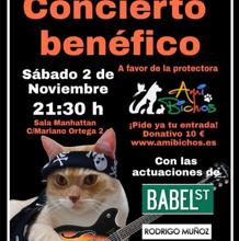 Concierto benéfico a favor de Jaimie, un gato de tres patas