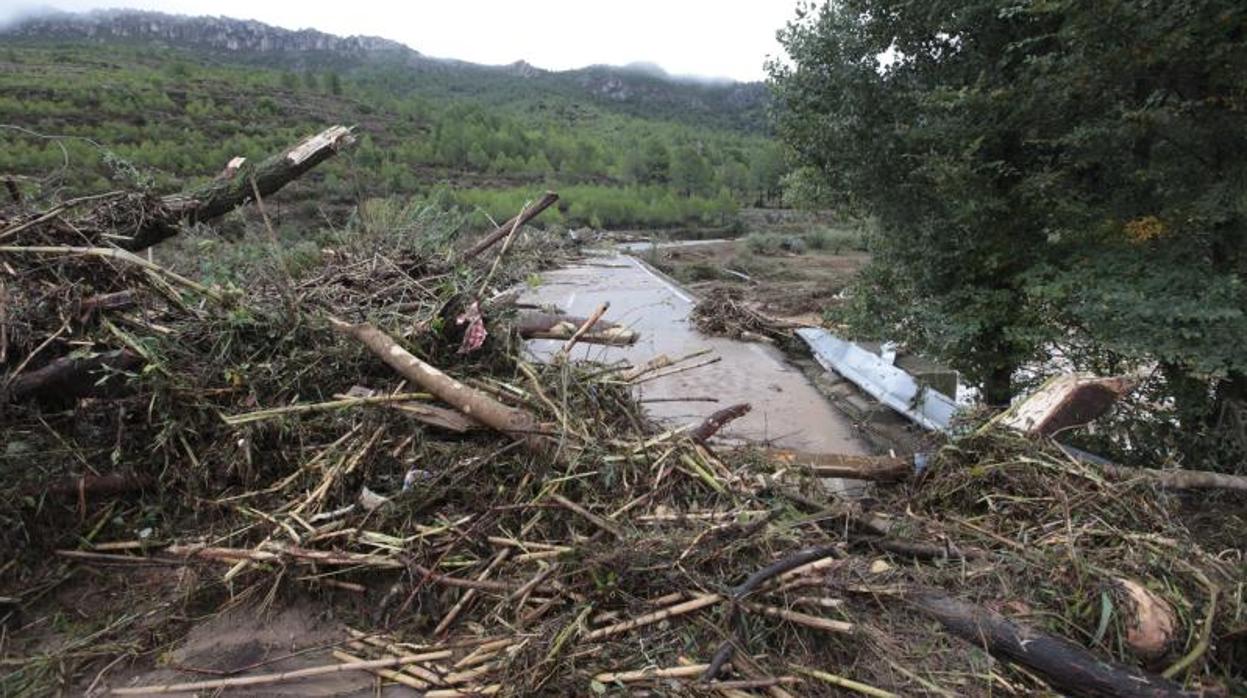 Estado del río a su paso por Vilaverd, hace unos días tras el desbordamiento del Francolí