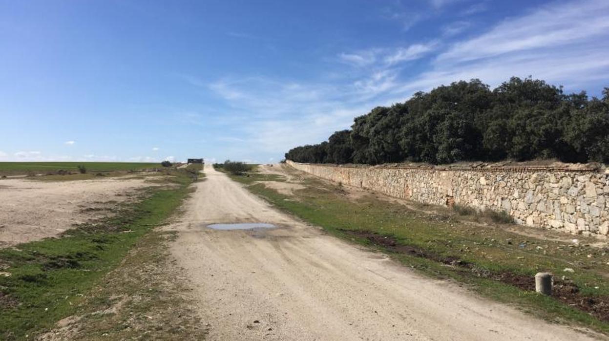 La tapia del monte del Pardo separa el polígono de Valverde que ahora se quiere reforestar