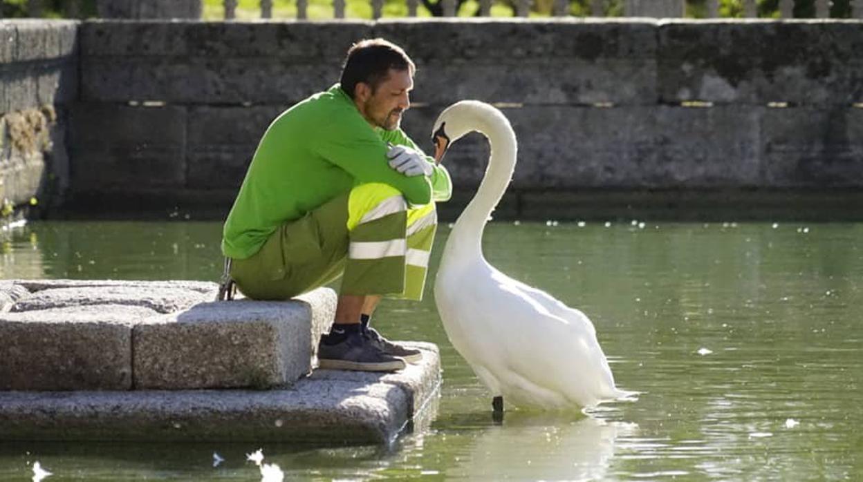 Raúl y el cisne en el monasterio de San Lorenzo de El Escorial