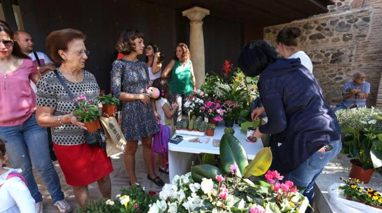 El sábado regresa el Mercado de las Flores al jardín de San Lucas