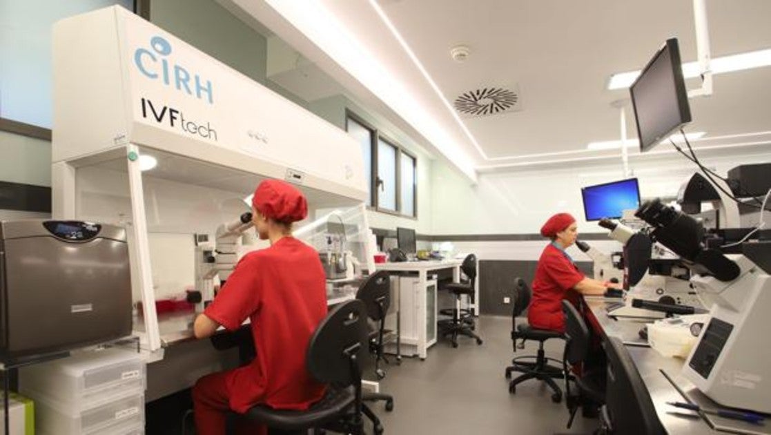 Laboratorio de de CIRH-Eugin, desde donde se ha realizado el estudio