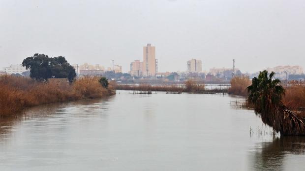 La Albufera de Valencia, en la UCI: «Acabará convertida en un parque con jardines»