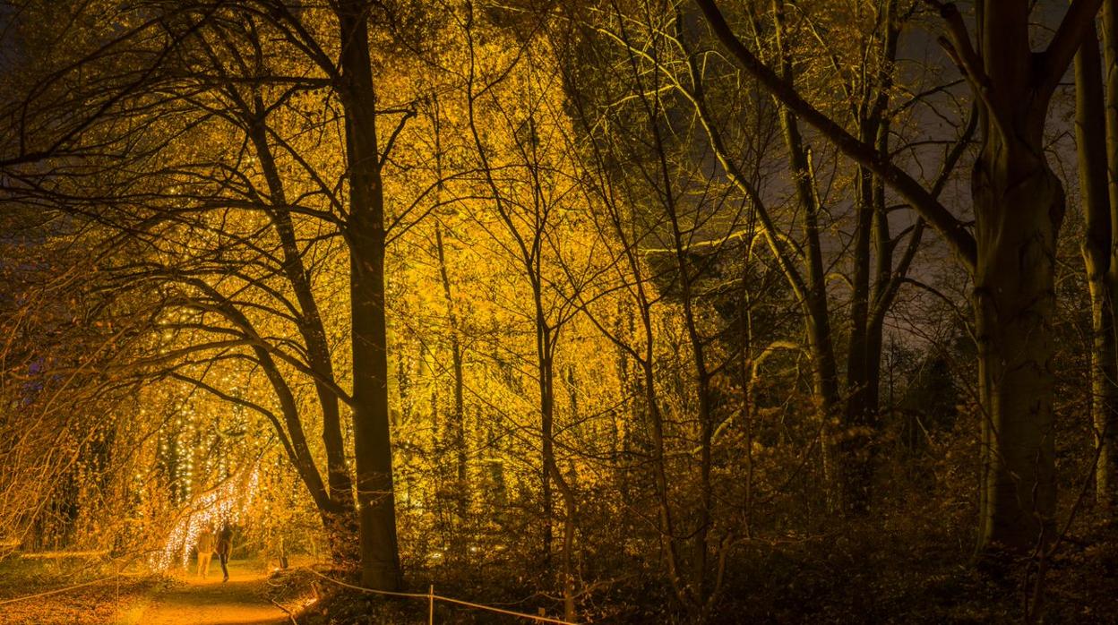 Una de las escenas de jardín iluminado que se ha instalado en otras ciudades europeas