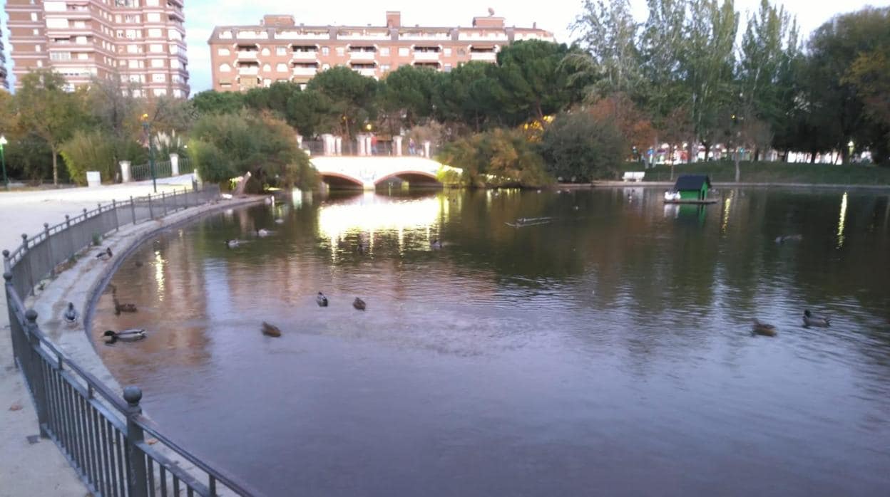 Imagen del lago de La Alameda