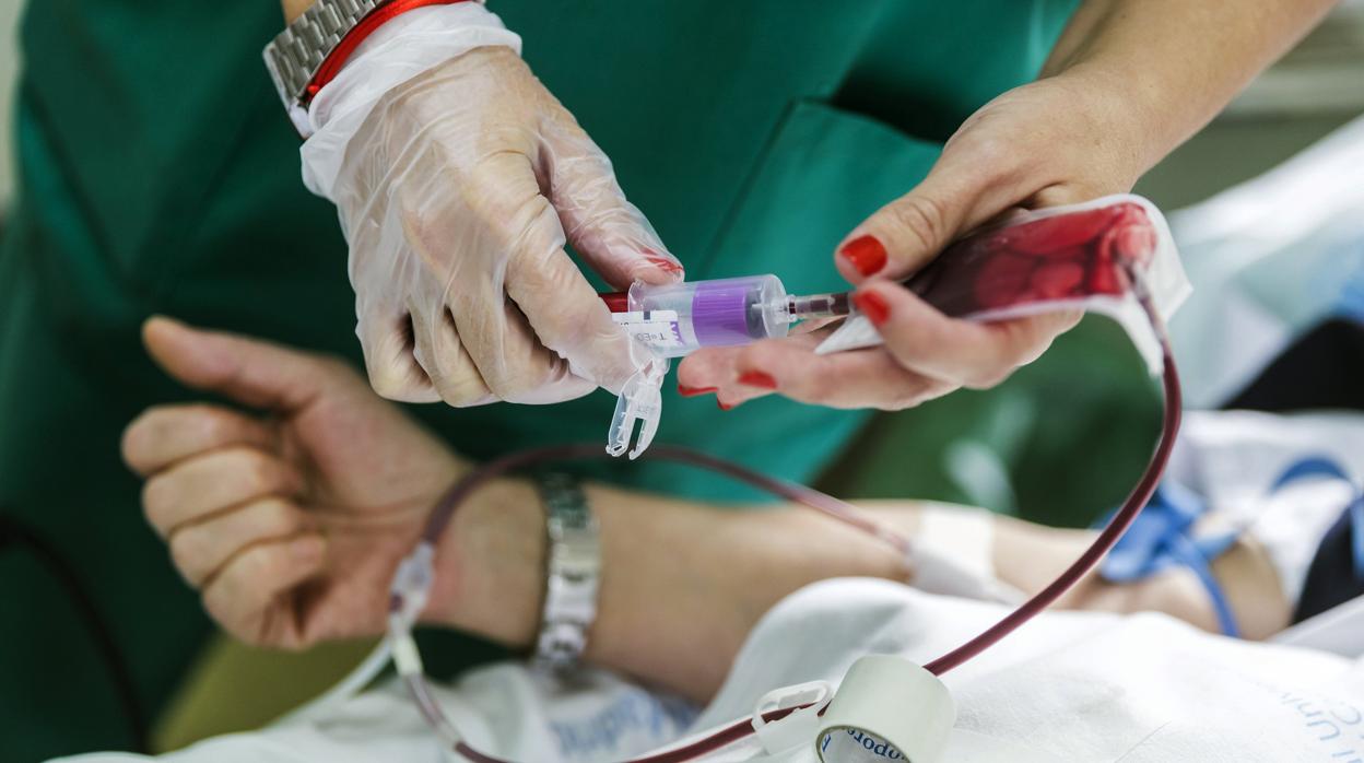 Una extracción de sangre, durante la campaña de donación del hospital Ramón y Cajal