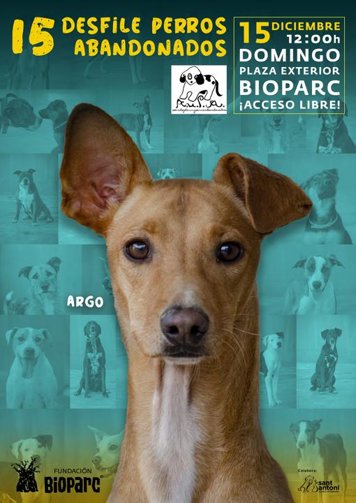 Bioparc organiza un desfile el 15 de diciembre para promover la adopción de perros abandonados