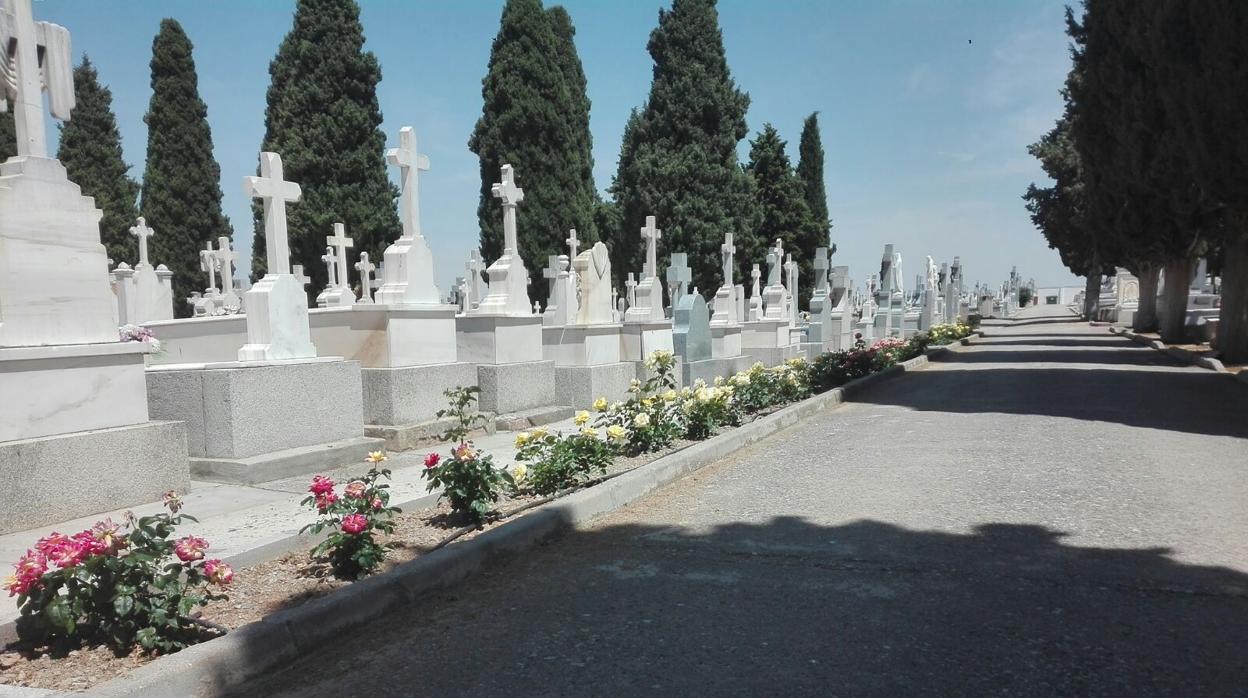 Cementerio de Mora