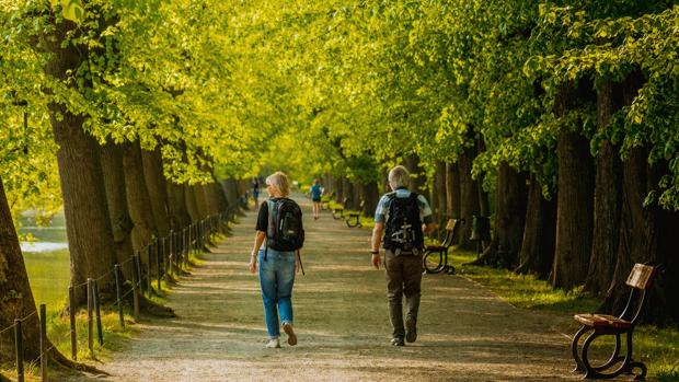 Tener vegetación a 500 metros de casa reduce un cuatro por ciento la mortalidad prematura