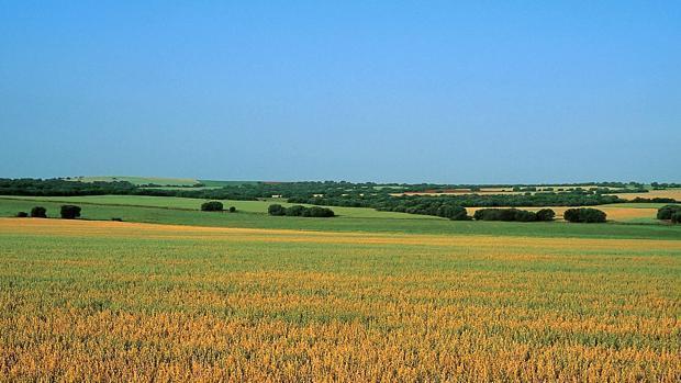 La Junta creará «suelo para aldeas» y la primera Ley del Paisaje