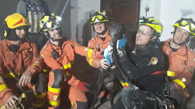 Los bomberos rescatan a un perro que había caído por un pozo a 20 metros de profundidad en Valencia