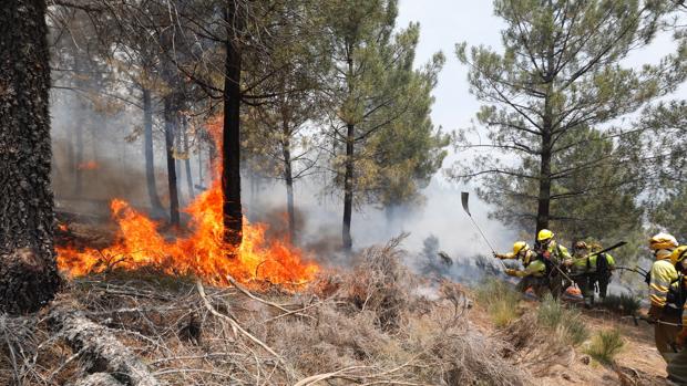 La Guardia Civil ha detenido este año a 34 personas por incendios forestales