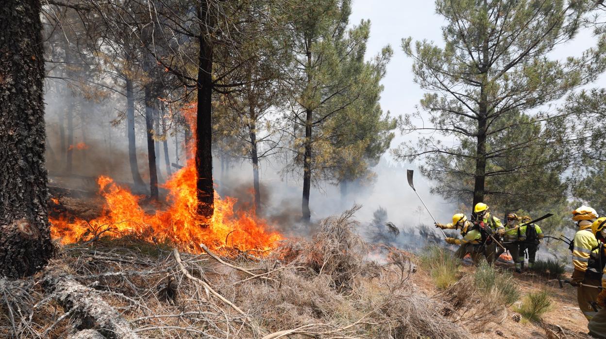 Incendio en Gavilantes-Pedro Bernardo (Ávila), en junio de este año, que arrasó 1.415 hectáreas