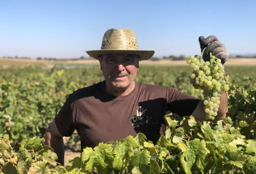 Cipriano Garrido, el ideólogo de este proyecto vitivinícola en Villanueva de Alcardete