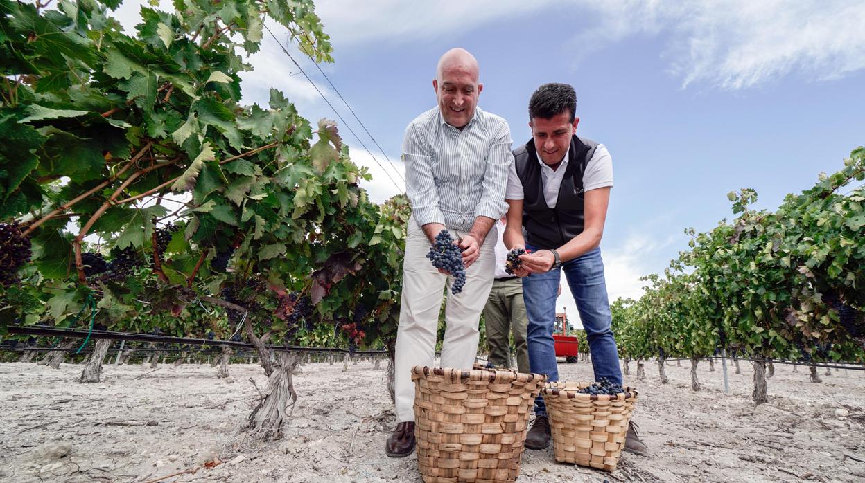 El consejero de Agricultura, Ganadería y Desarrollo Rural, Jesús Julio Carnero (I), durante una visita a la vendimia en la Ribera del Duero, en una imagen de archivo