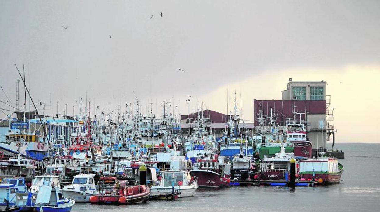 Flota pesquera en el puerto de Burela