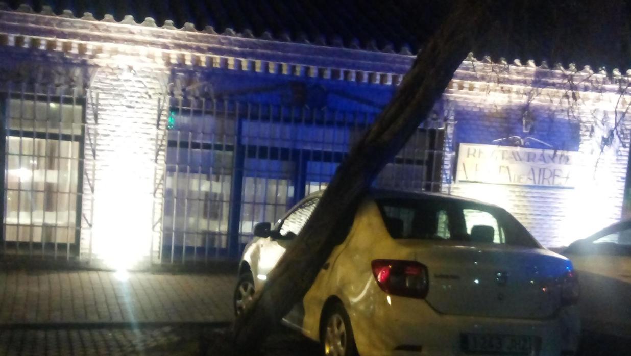 El árbol se desplomó sobre el vehículo que estaba en la puerta del restaurante Venta de Aires