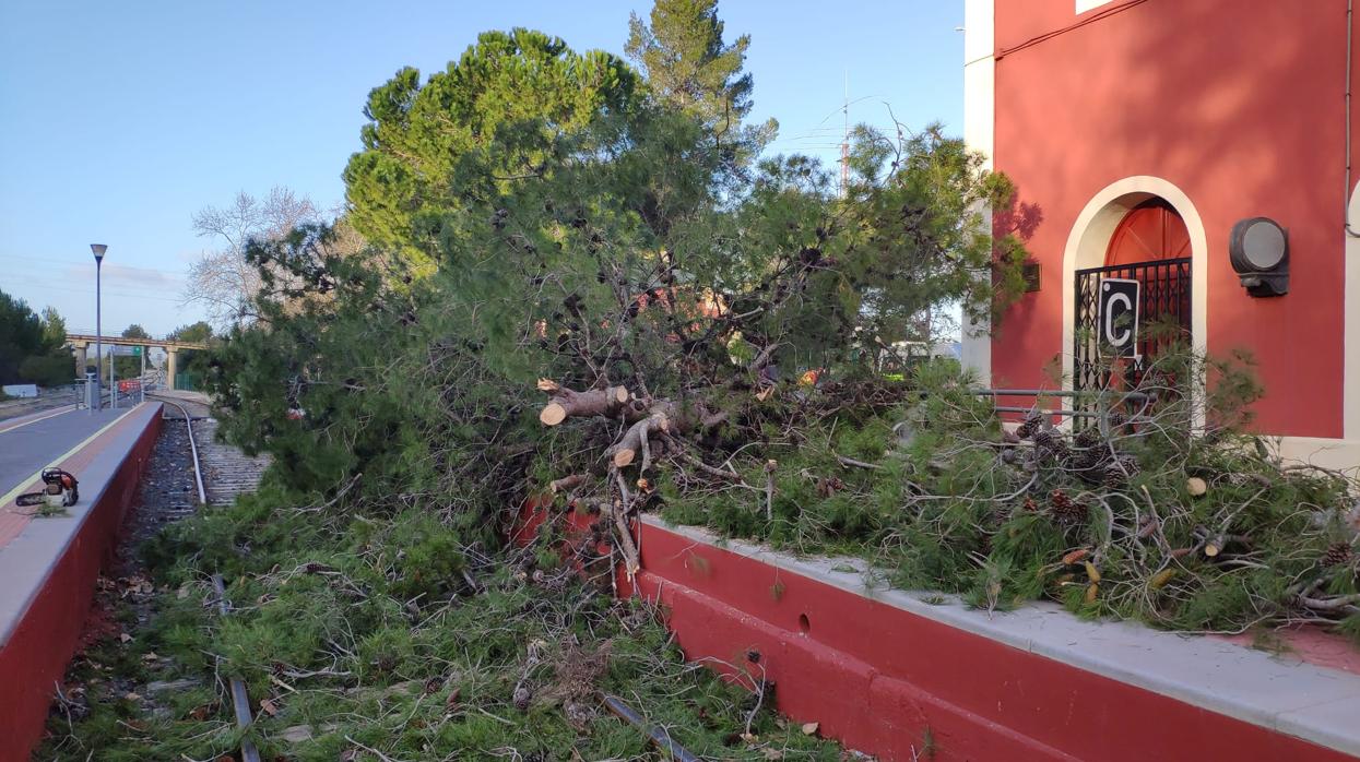 Imagen del pino caído sobre las vías de la estación de Ontinyent