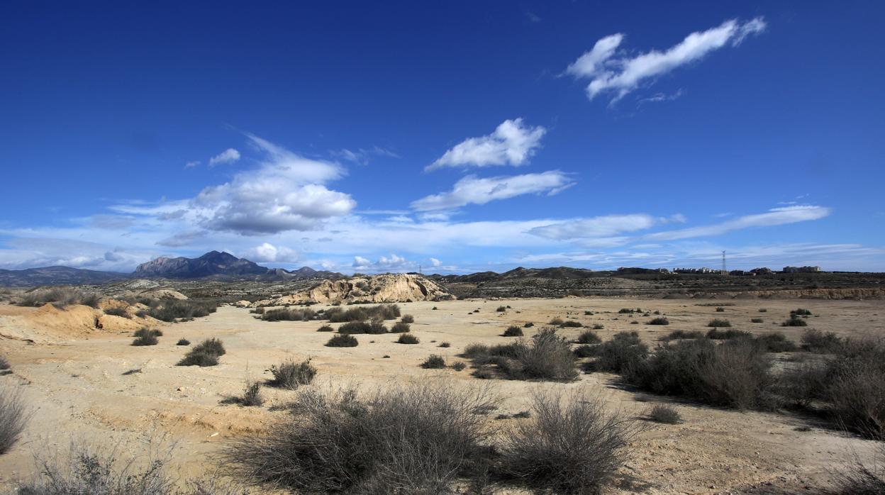 Imagen de los efectos de la sequía en la provincia de Alicante