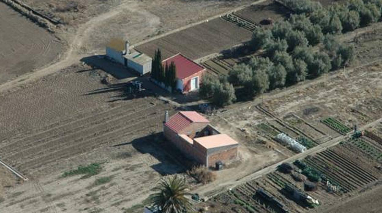 Vista aérea de varias de las edificaciones ilegales construidas en suelo no urbanizable detectadas por el Seprona de la Guardia Civil en la provincia de Zaragoza