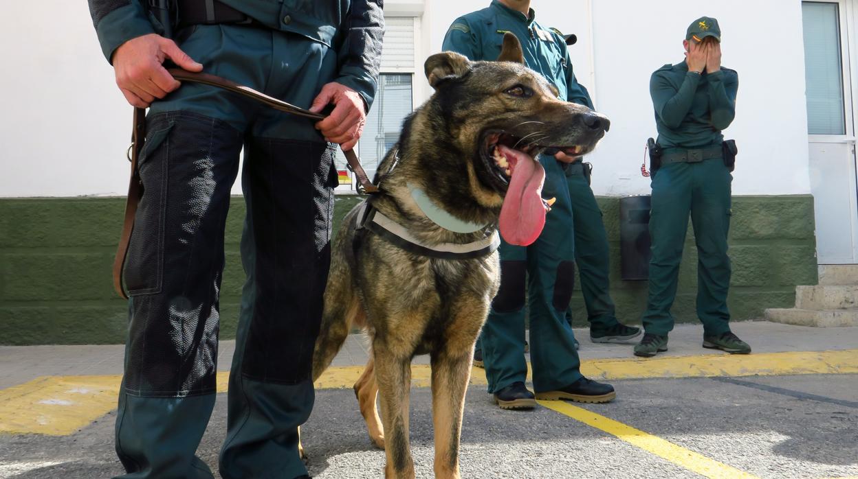 Imagen de archivo de una dotación de la Guardia Civil