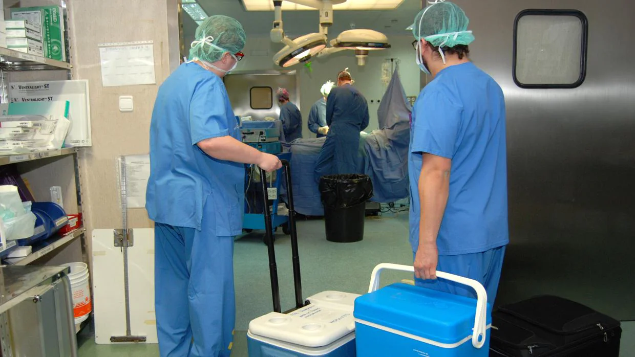 El número de donantes de órganos y tejidos en Castilla-La Mancha ha aumentado un 44 por ciento