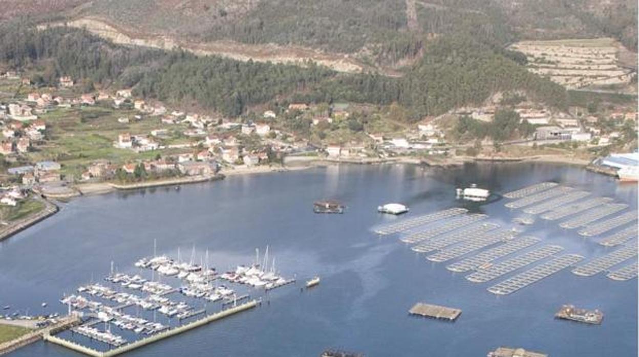 Vista aérea del puerto de Moaña