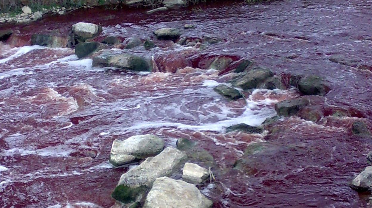 Sangre en un río, en una imagen de archivo