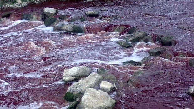 El PP de Soria requiere poner solución a los vertidos de sangre en el río Duero