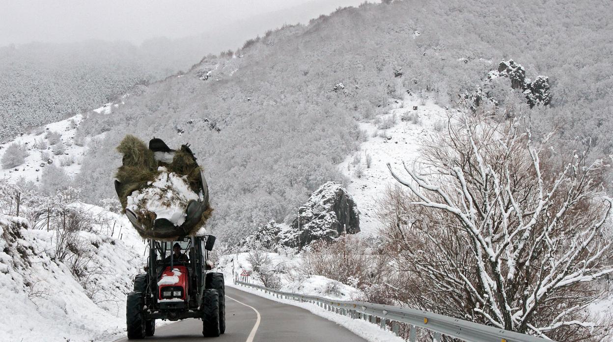 Temporal de nieve en León, el pasado diciembre