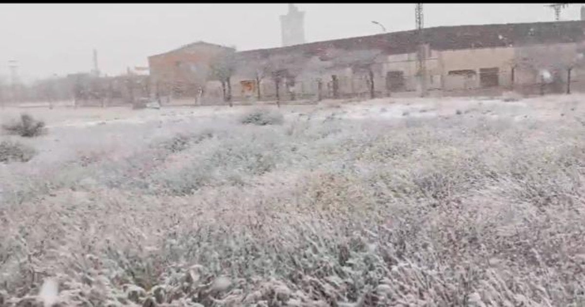 Nevada en Almansa este domingo