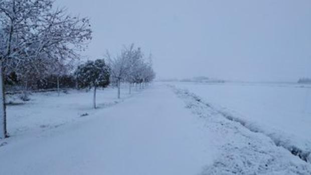 Una gran nevada obliga a cortar la A-7 y la A-31 y deja incomunicados a 35.000 vecinos de Villena