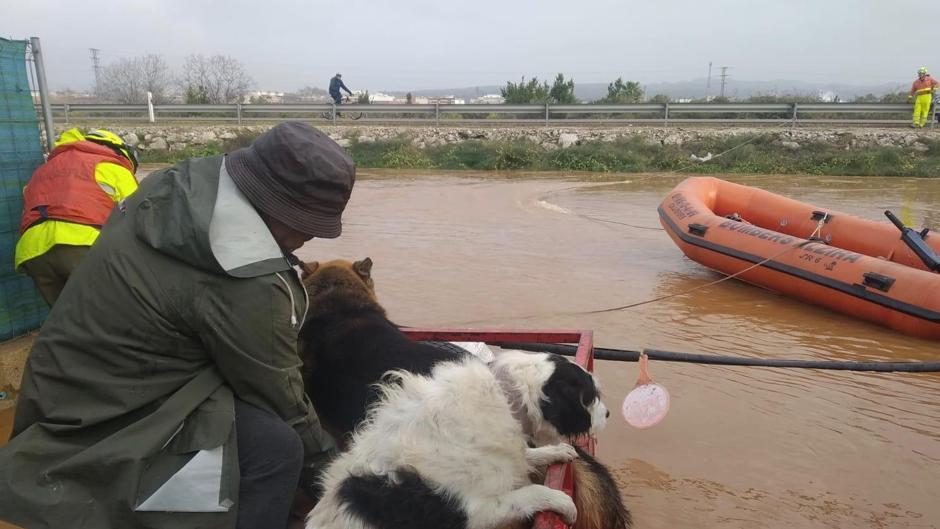 Vídeo: los estragos de un temporal histórico en Valencia que deja cinco muertos