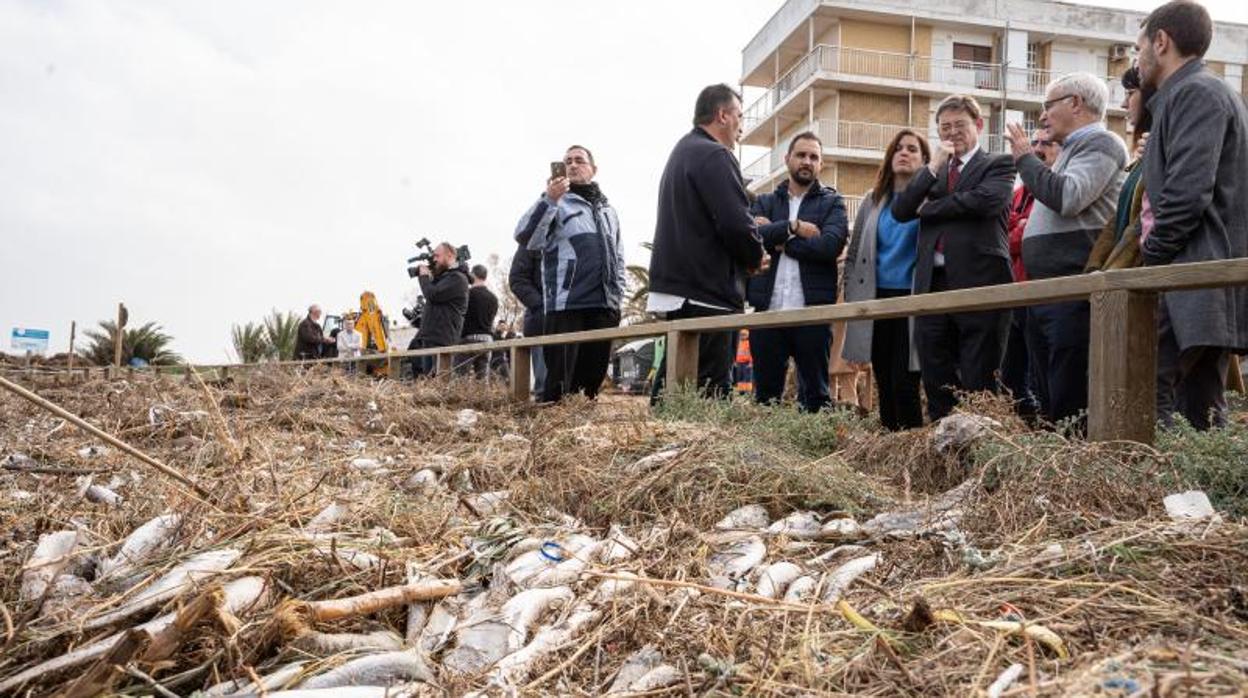 El presidente Puig y el alcalde de Valencia en El Perellonet, donde también hay peces muertos arrastrados