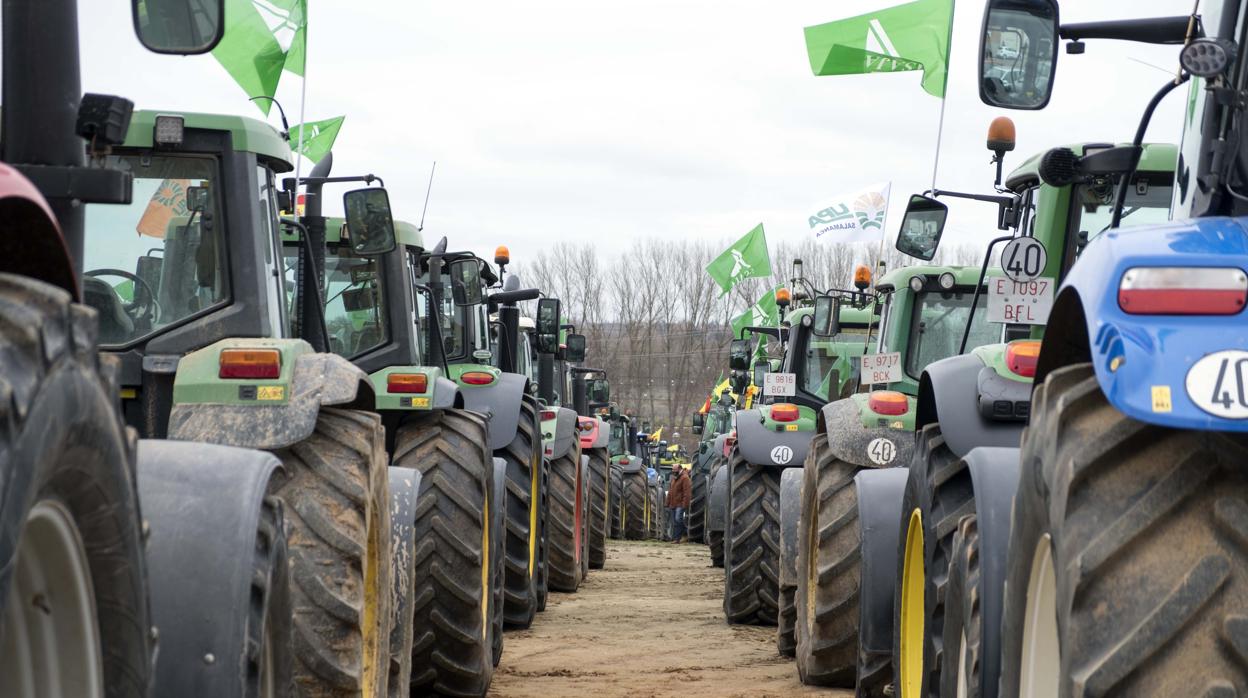 Tractorada de agricultores y ganaderos en Salamanca en protesta por los precios del campo, el pasado 30 de enero