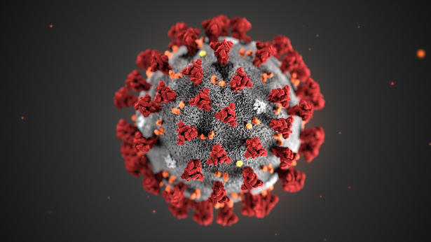 Analizan en Vitoria otro posible caso de coronavirus en una mujer que viajó recientemente a China