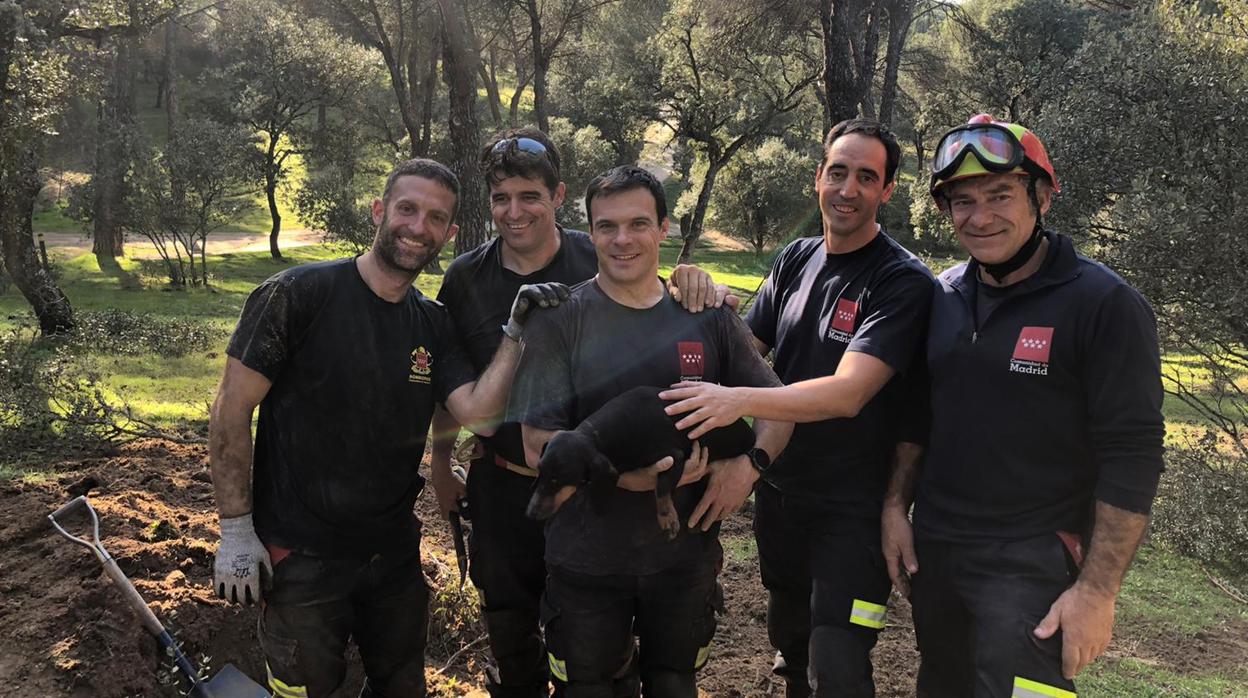 Los bomberos posan con la perra rescatada