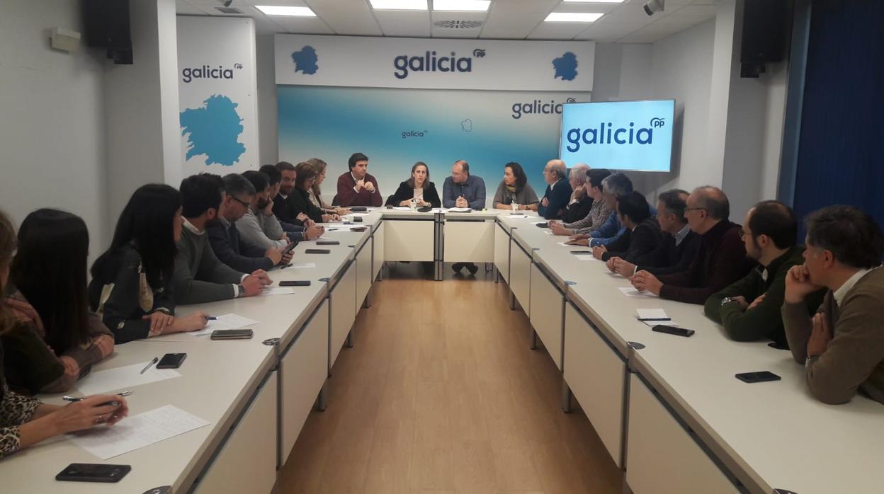 Reunión, ayer, de la comisión de infraestructuras del PPdeG