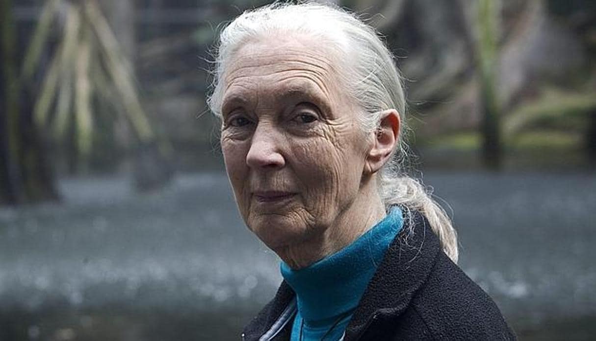 Imagen de archivo de la primatóloga Jane Goodall
