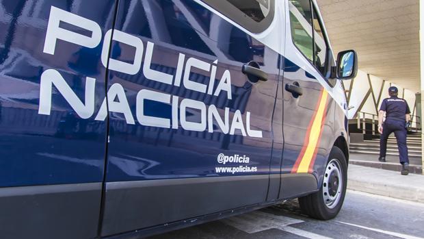 Descubren una plantación de marihuana mientras se realizaba un desahucio en una vivienda en Salamanca