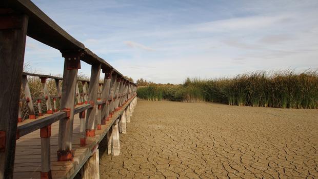 Lanzan otro SOS por las Tablas de Daimiel