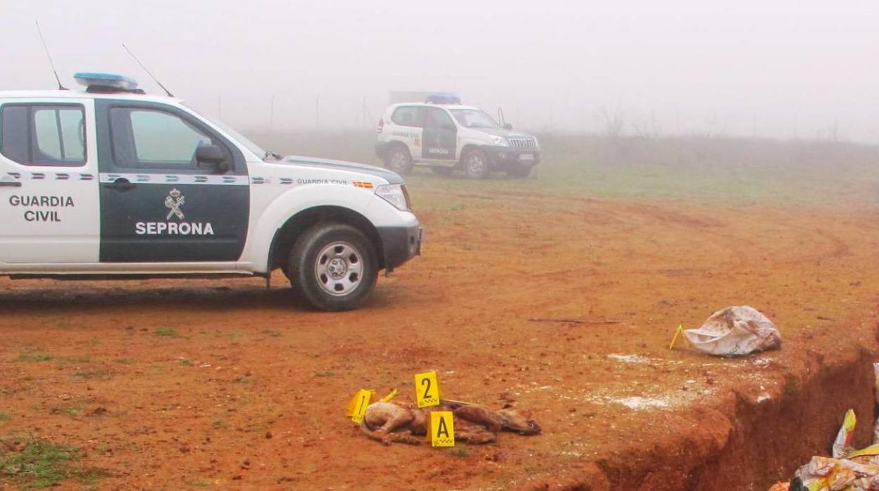 Investigado un hombre por abatir a su perro y dejar el cadáver abandonado en una zanja de Benavente