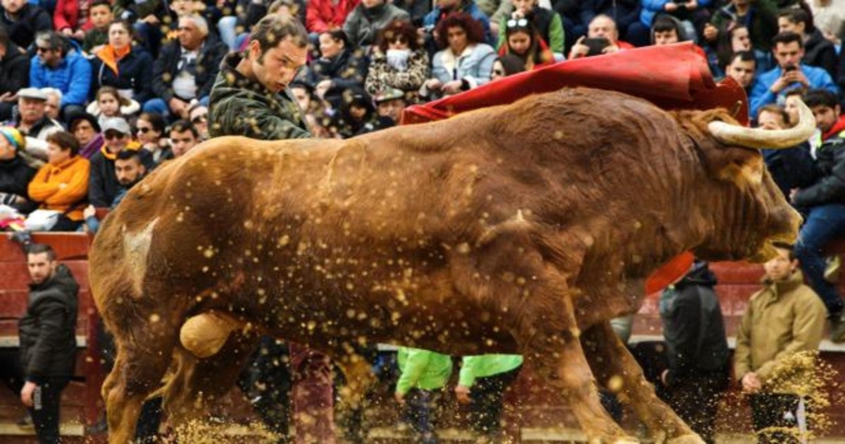 Uno de los encierros celebrados el año pasado