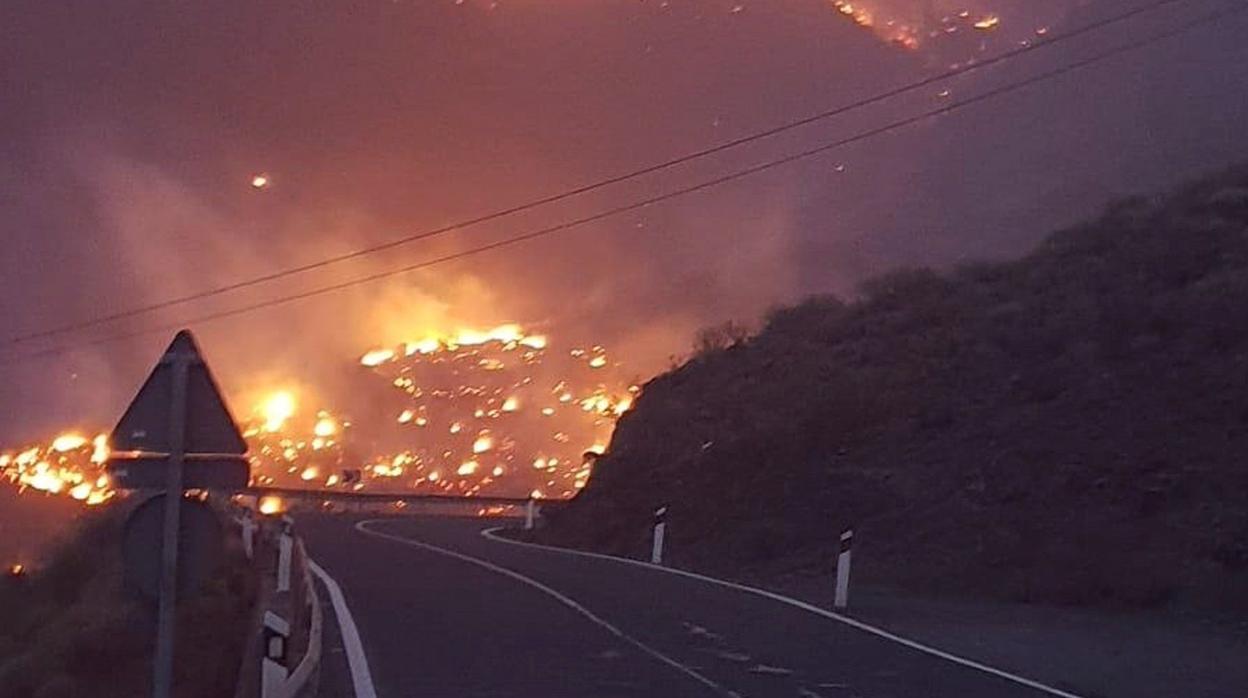 Un conato de incendio obliga a evacuar Tasarte, en el suroeste de Gran Canaria