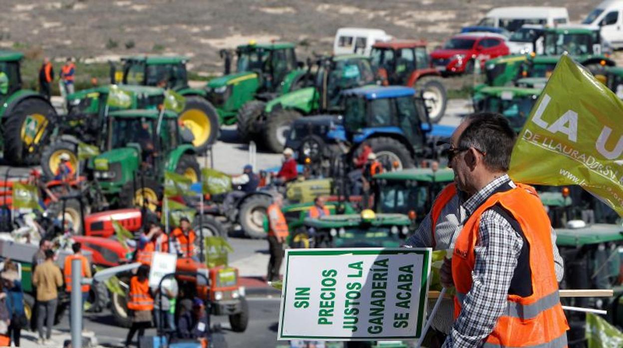 Agricultores concentrados con sus tractores, este martes entre Monforte del Cid y Novelda