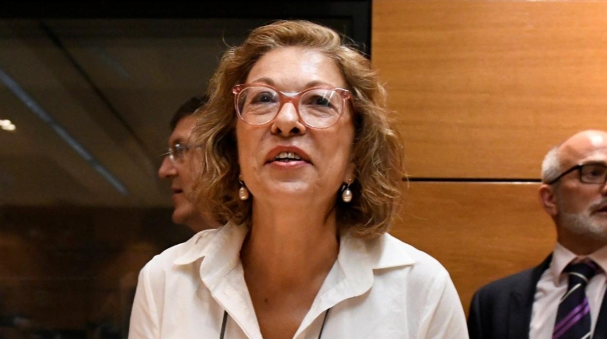 Pilar Ventura, consejera de Sanidad del Gobierno aragonés