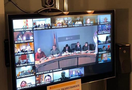 Imagen de la videoconferencia del Consejo Interterritorial del Sistema Nacional de Salud