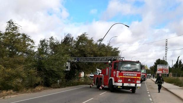 Se registra un gran número de incidencias por el viento en Castilla-La Mancha