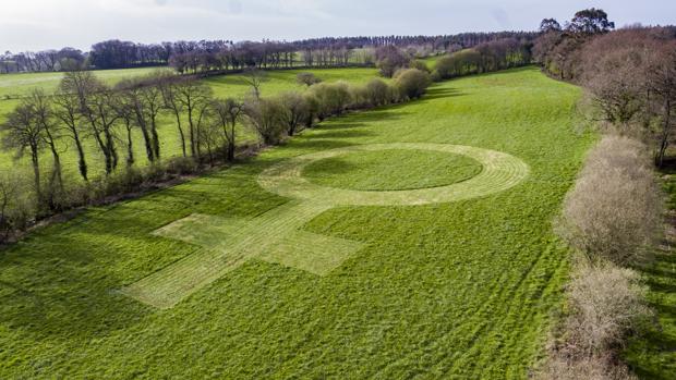 Una granja dibuja el icono feminista segado en la hierba más grande del mundo